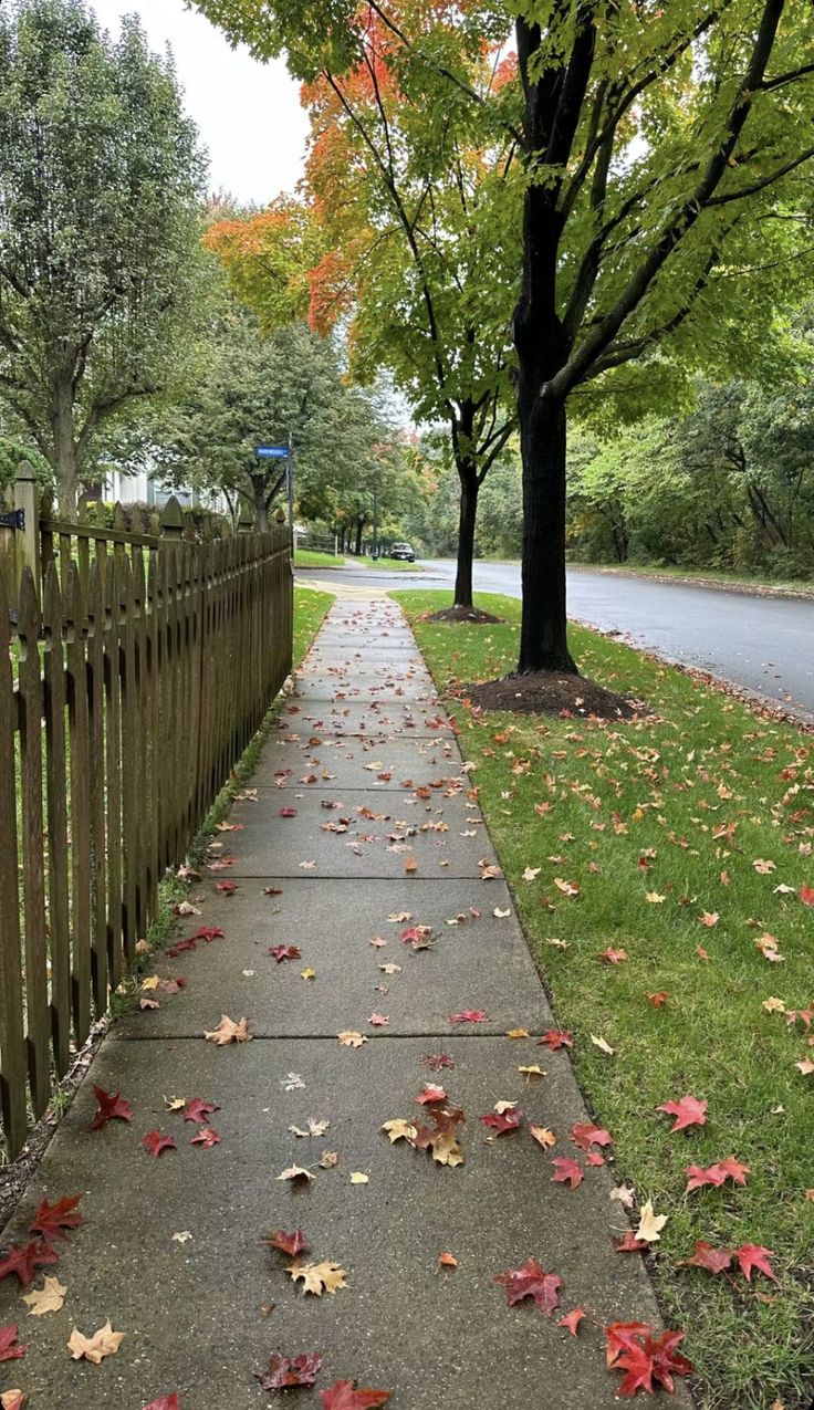 Ide Jeda Ringan untuk Menyegarkan Suasana Hari